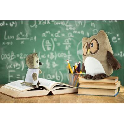 Pluszowa poduszka, sowa | Professowl