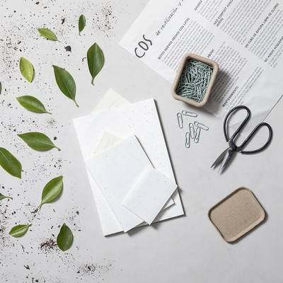 Notatnik A6, papier z nasionami